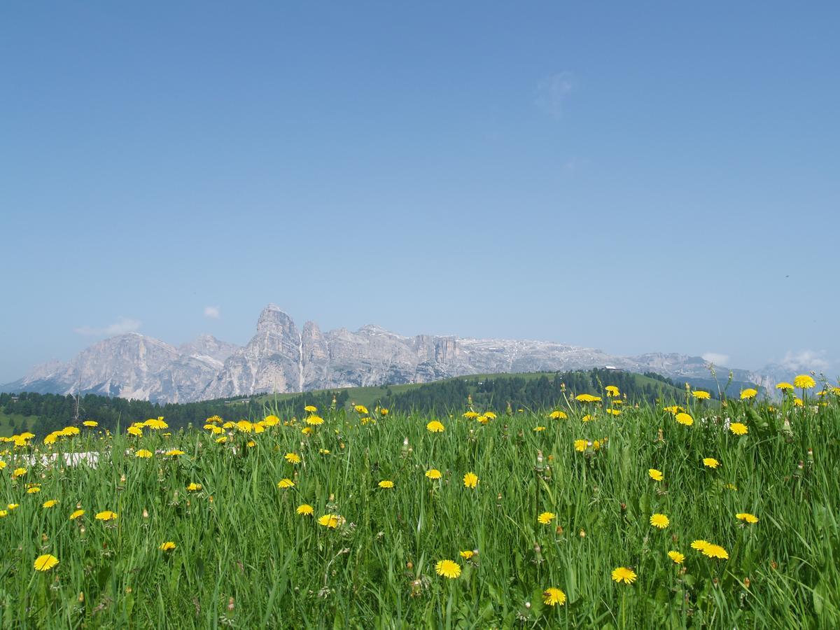 Residence Vajolet San Cassiano San Cassiano  Bagian luar foto