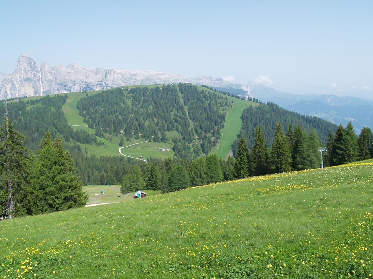 Residence Vajolet San Cassiano San Cassiano  Bagian luar foto