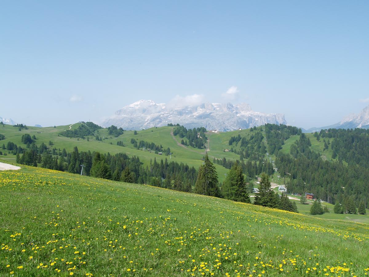 Residence Vajolet San Cassiano San Cassiano  Bagian luar foto